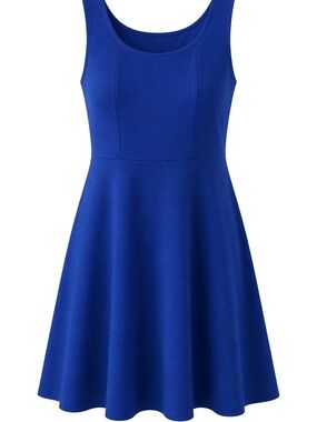 Cobalt Blue Fit & Flare Dress